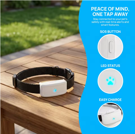 i-Collar